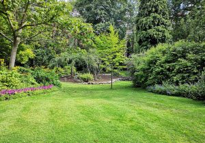 Optimiser l'expérience du jardin à Chaponnay